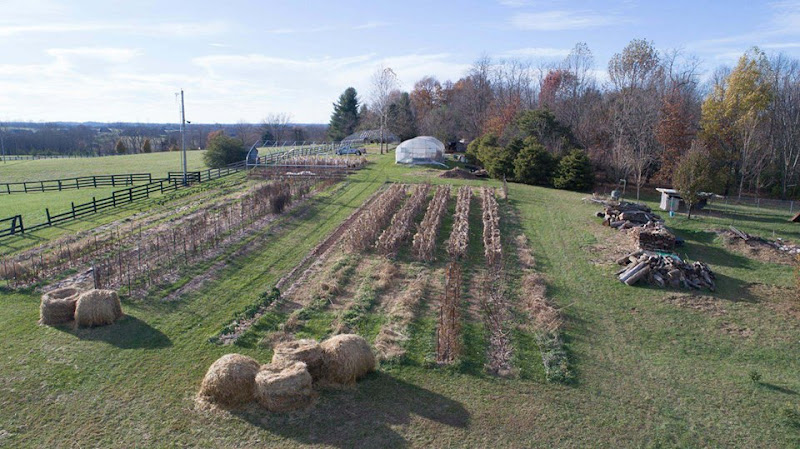 Rolling Fork Organic Farm