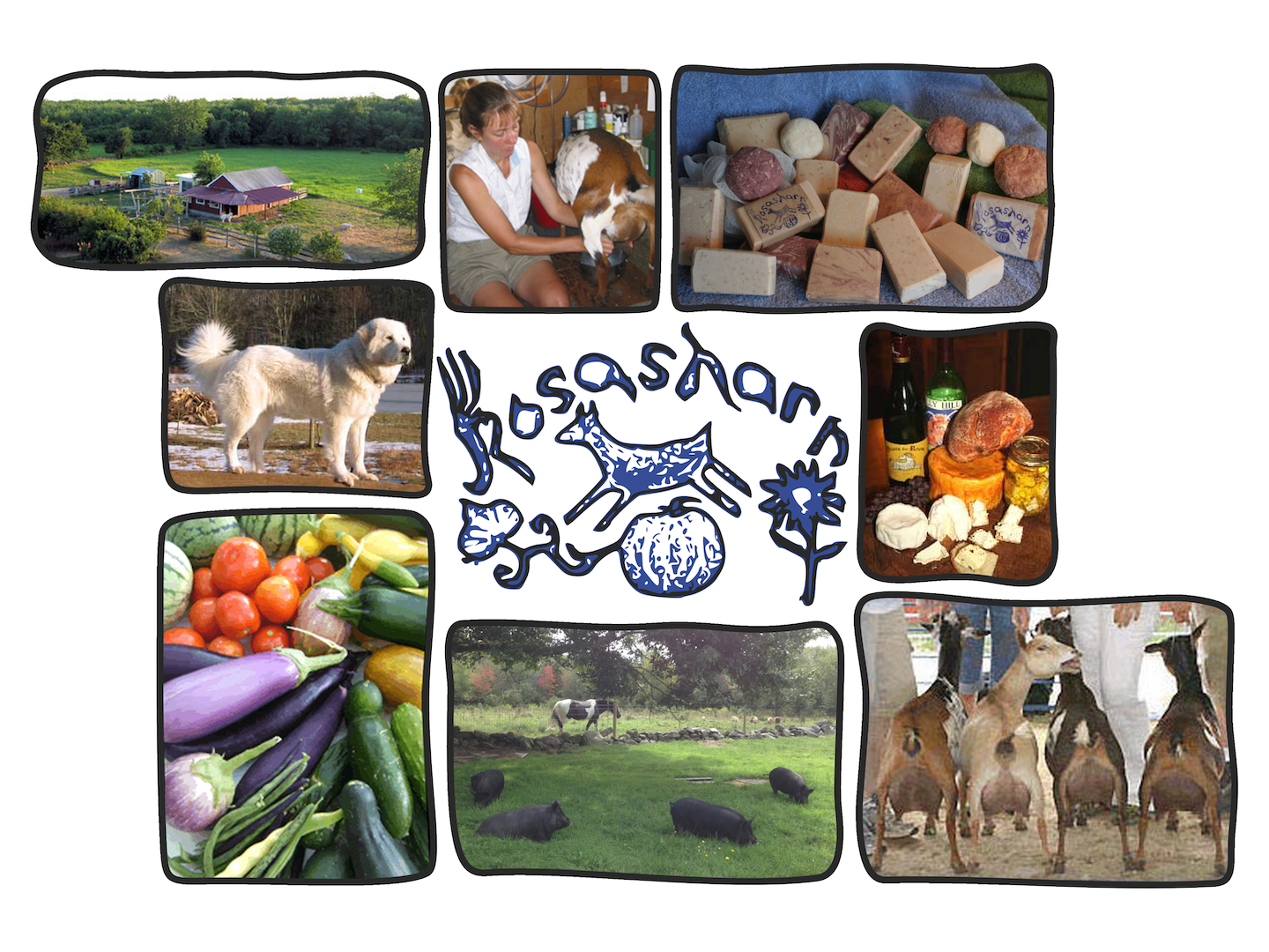 Rosasharn Farm and CSA