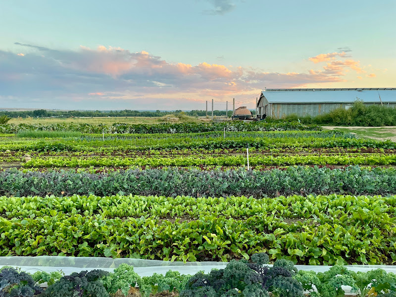 Speedwell Farm & Gardens