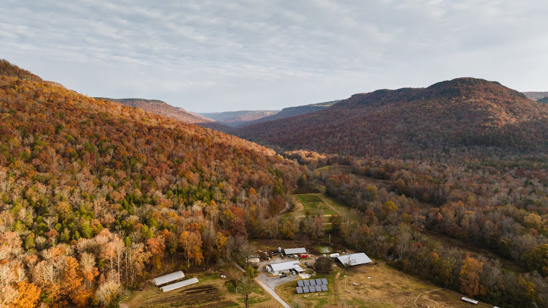 Sequatchie Cove Creamery photo 2