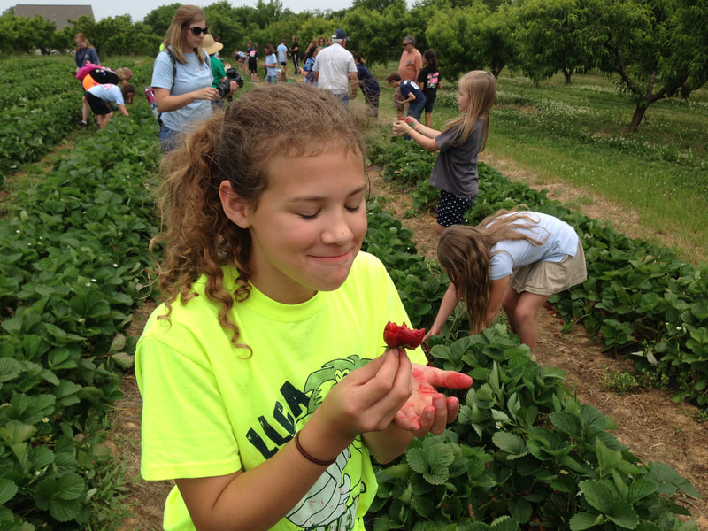 LouAllen Farms photo 4