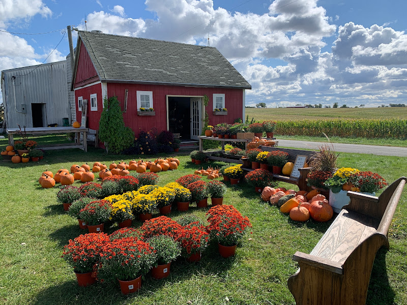 Tulip Tree Gardens Farm