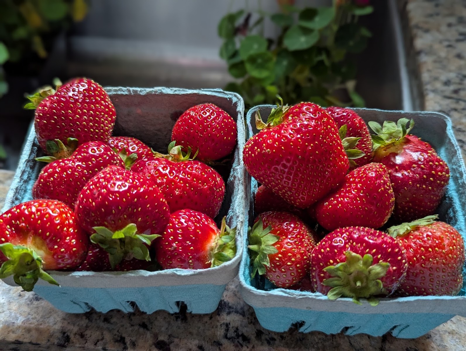 Bellefonte DE Farmers Market photo 3