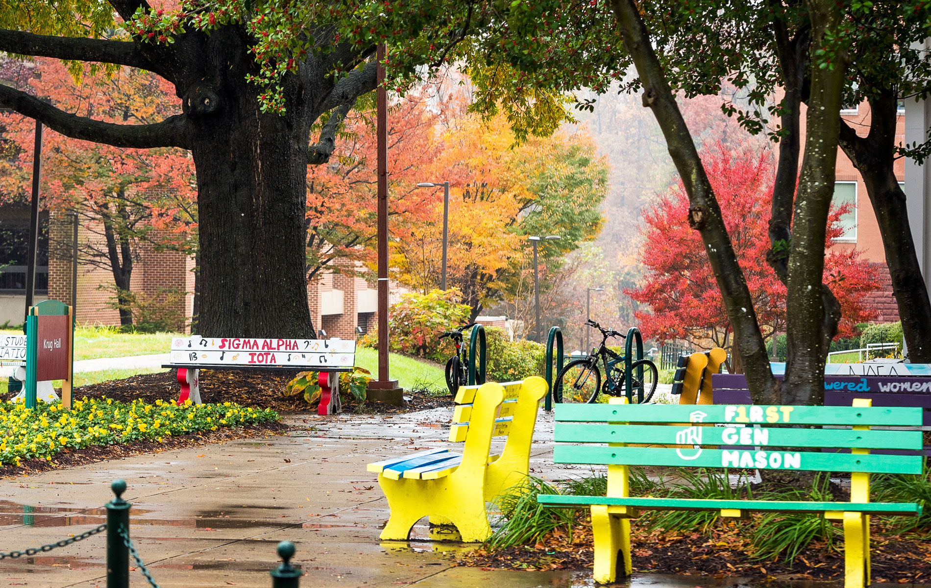 Presidents Park Green House