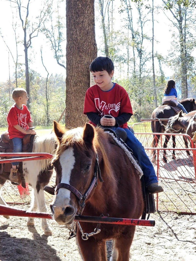 Diamond D Ranch photo 2