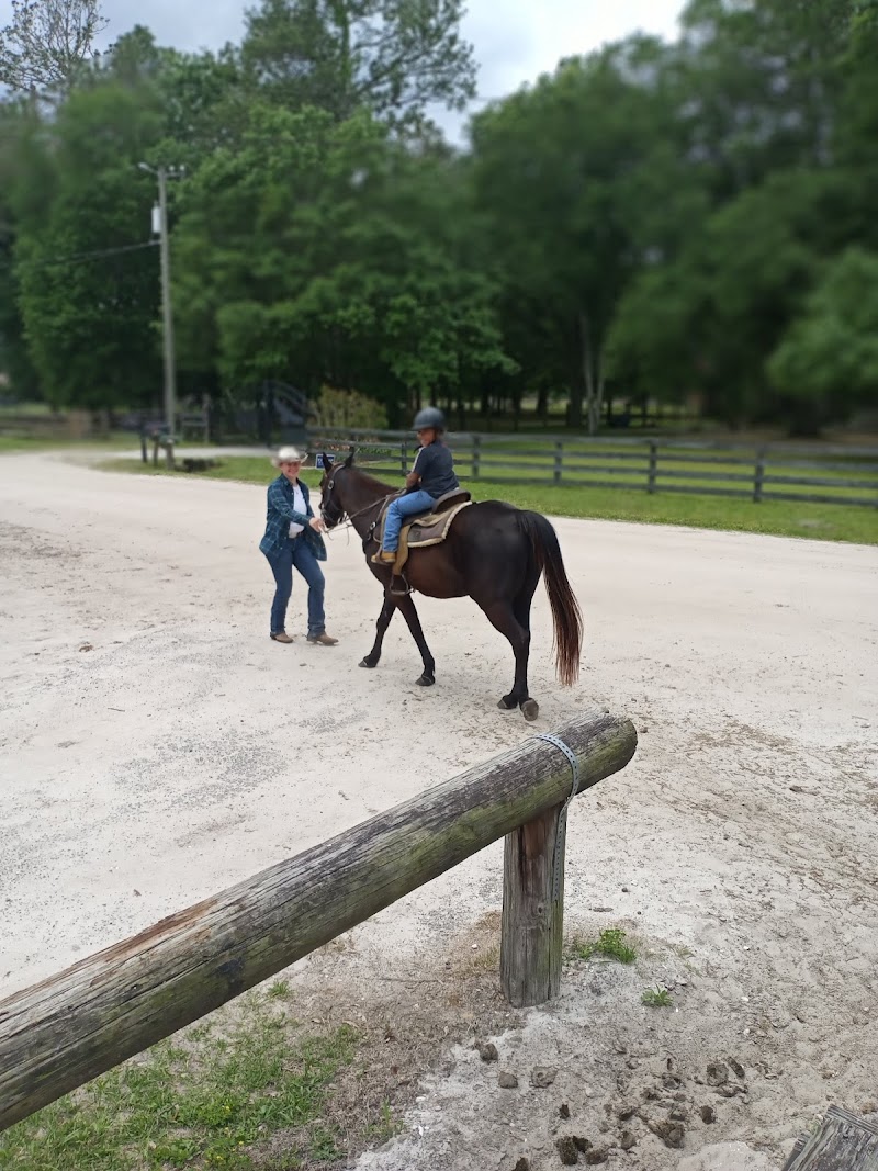 Diamond D Ranch photo 3