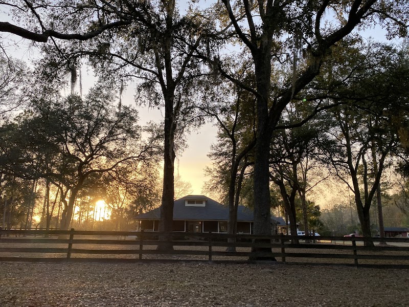 Diamond D Ranch photo 5