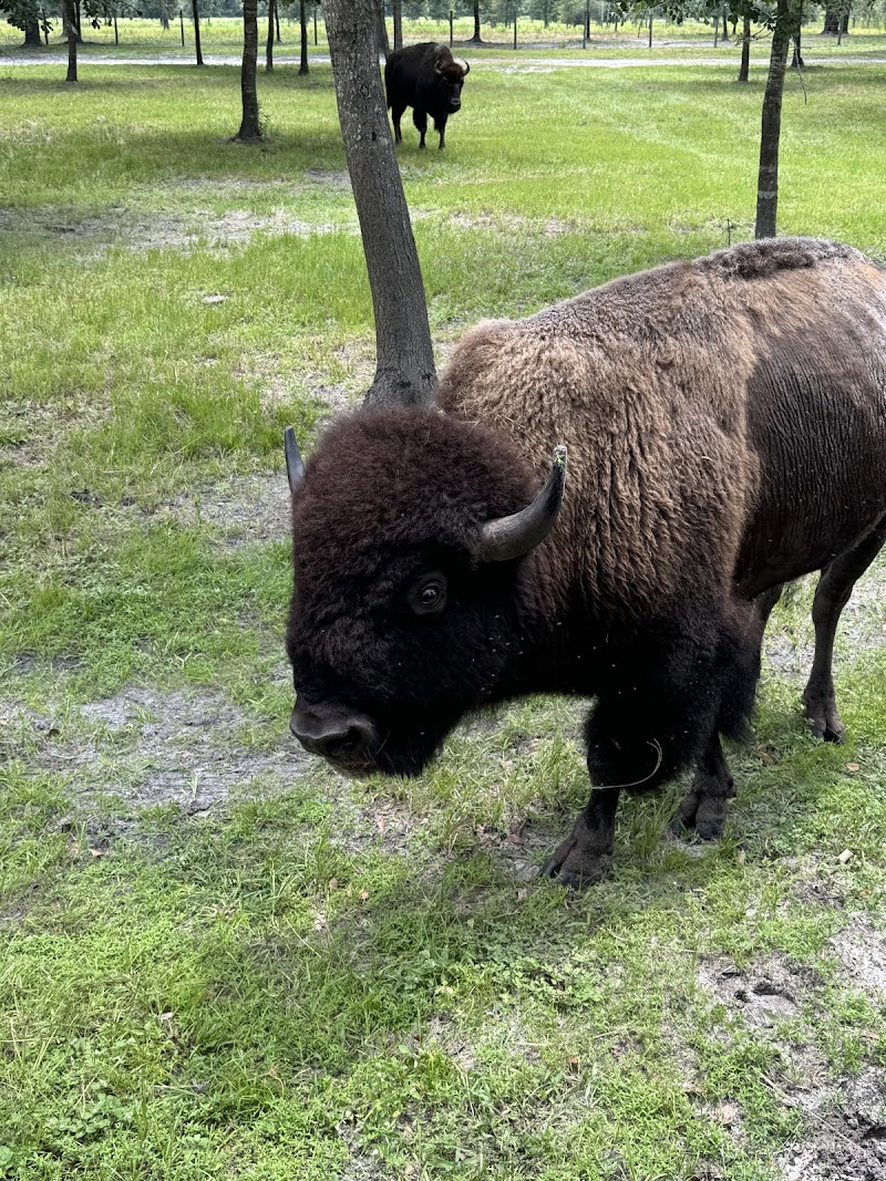 Diamond D Ranch photo 7