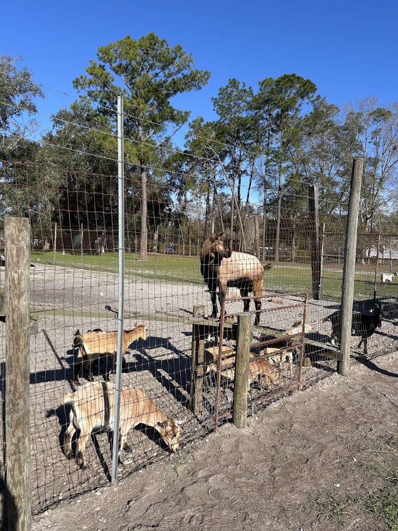 Diamond D Ranch photo 9