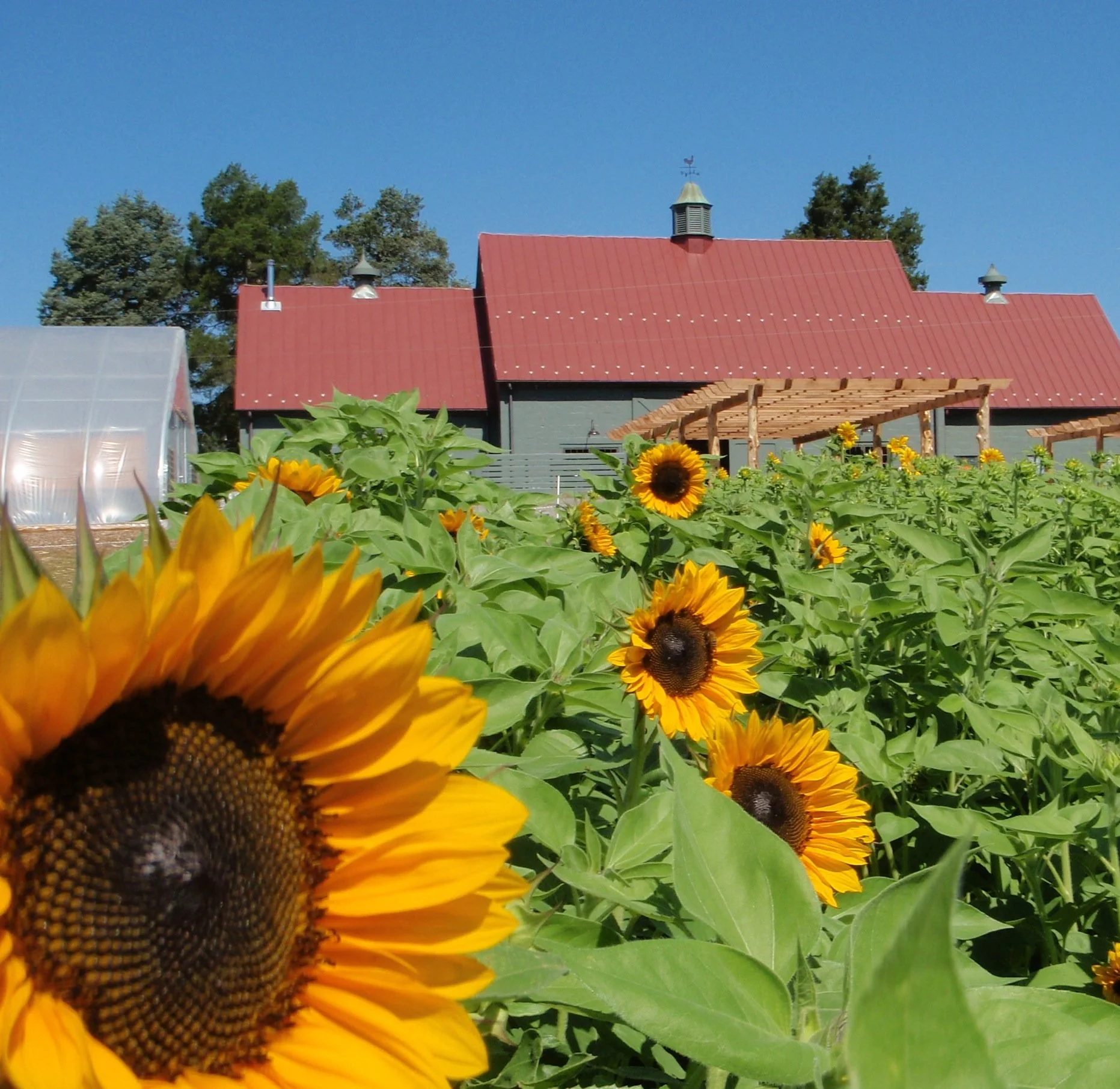 Bellair Farm photo 6