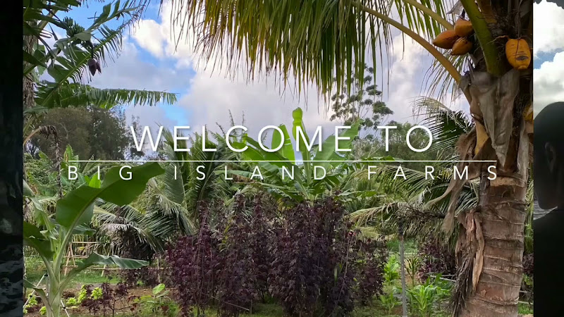 Big Island Farms