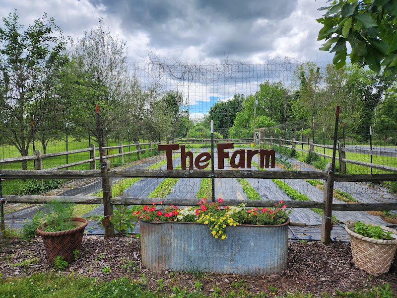 Lotuswood Organic Wellness Farm