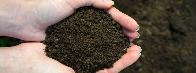 Grow Organics photo 3