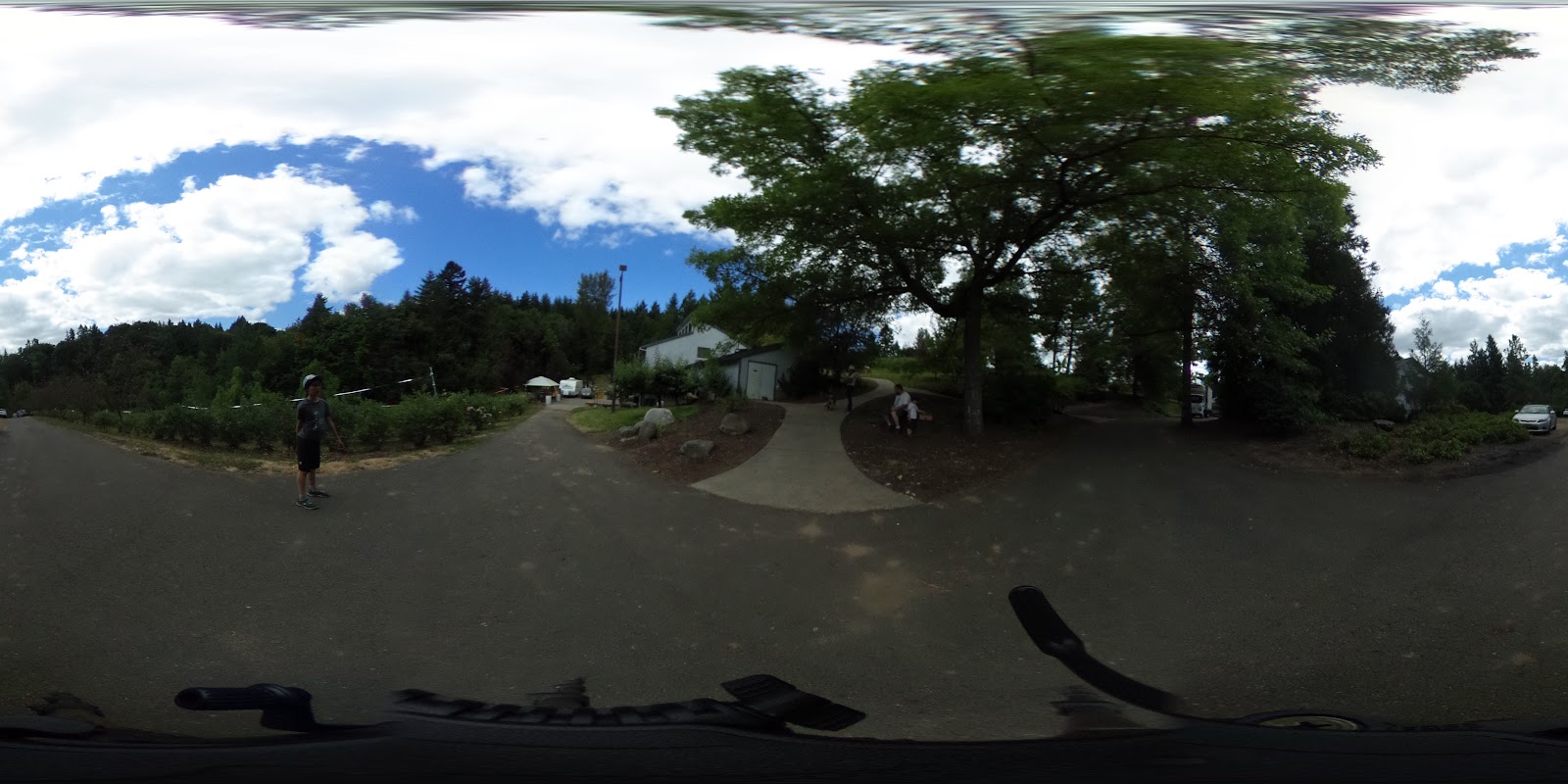 Blueberry Ridge Farm Inc photo 3
