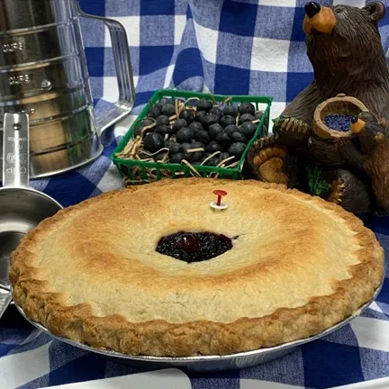 Blueberry Ridge Farm Inc photo 4