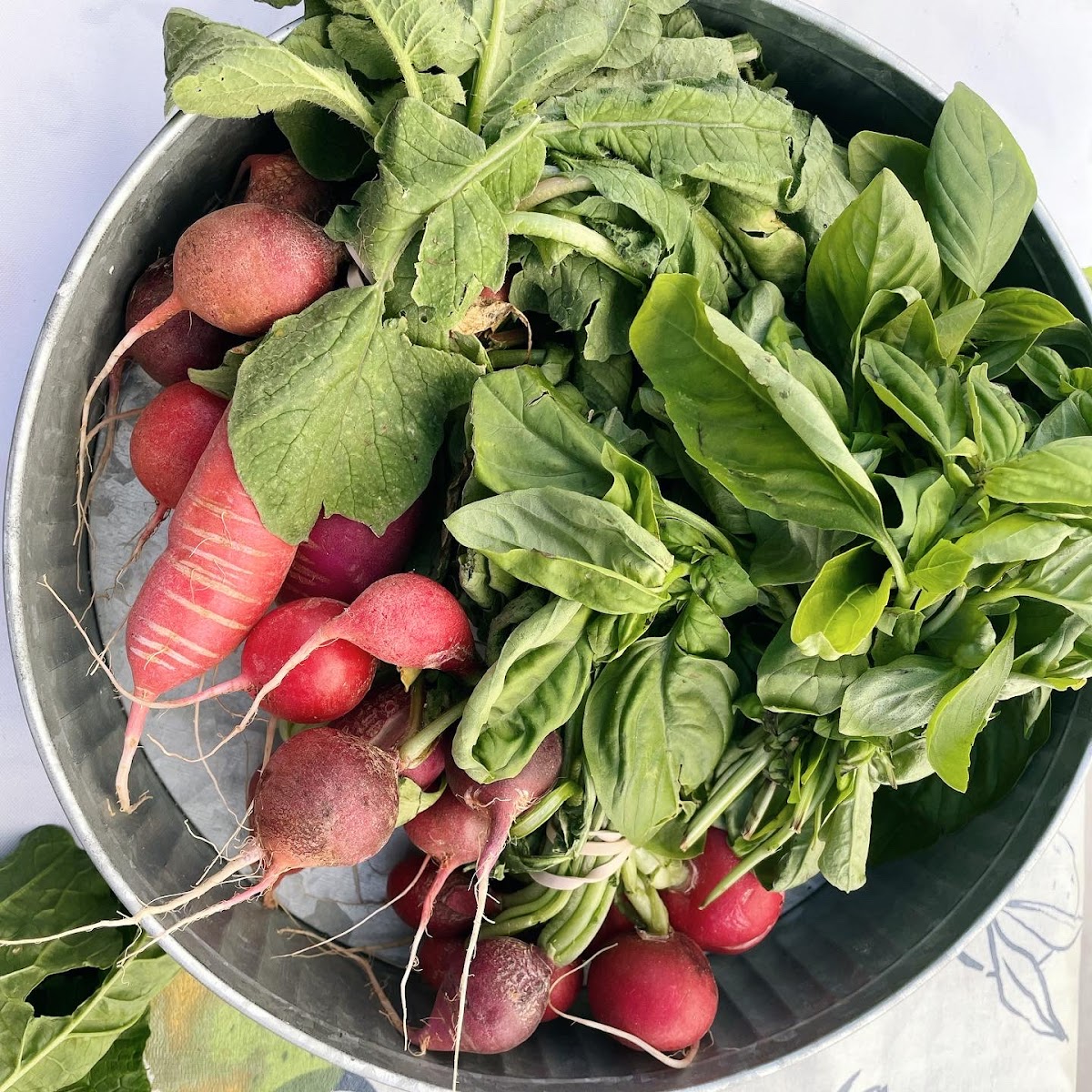 Scherer Homestead photo 4