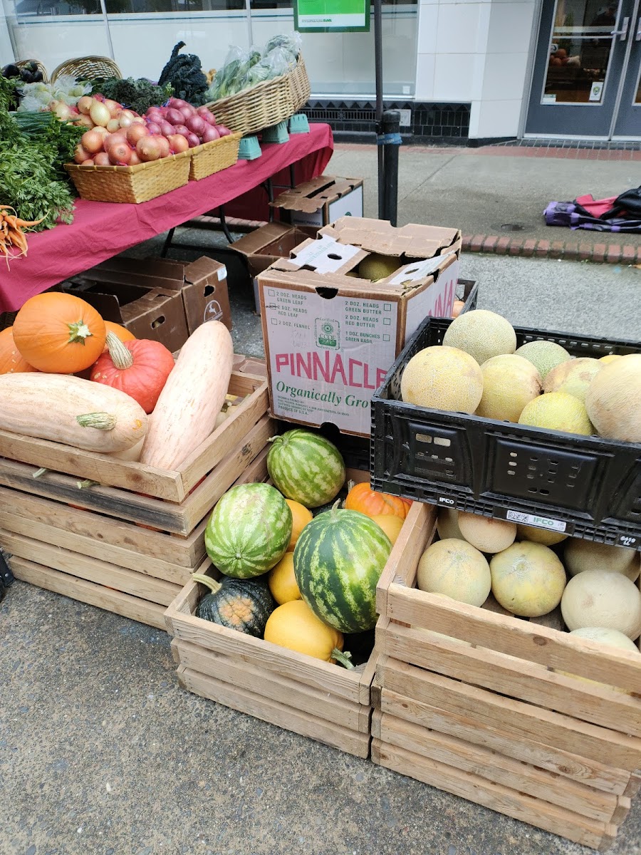Coos Bay Farmers Market photo 2
