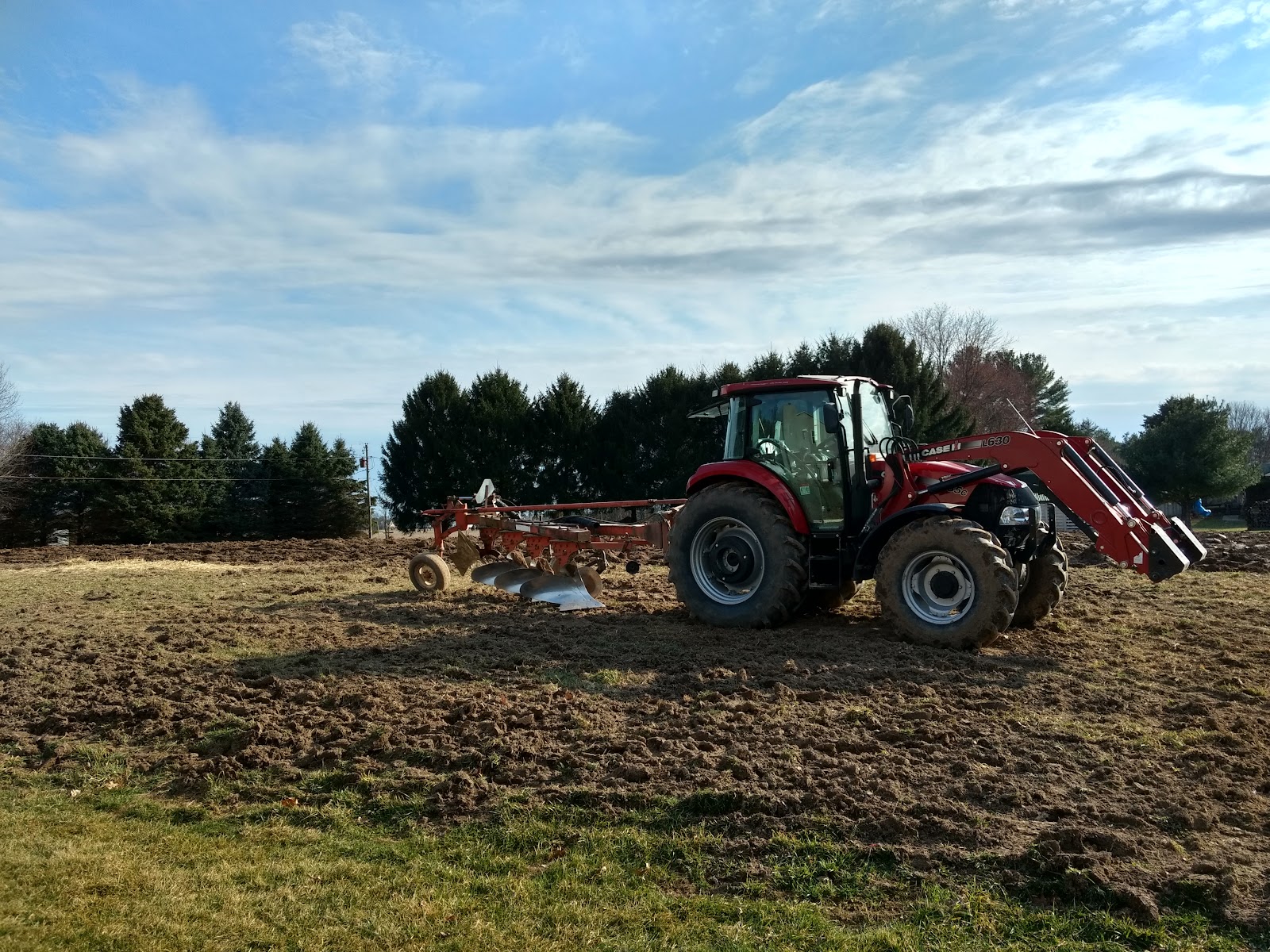 Kingdom Farms photo 3