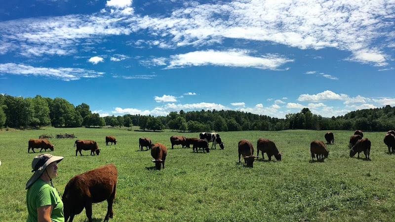 Walker Farm at Whortleberry Hill