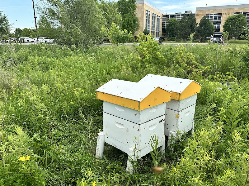 River Road Honey Farm