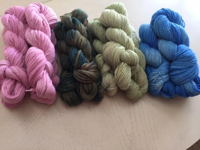 Six Paca Farm photo 5