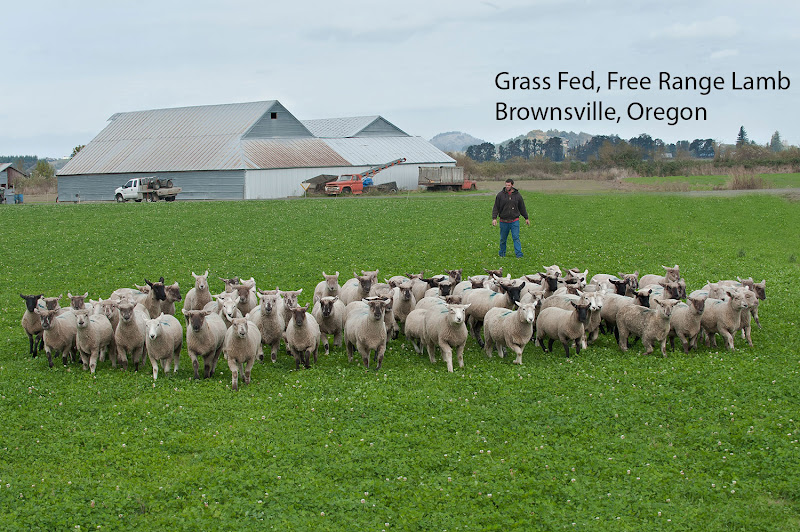 Anderson Ranches Oregon Lamb