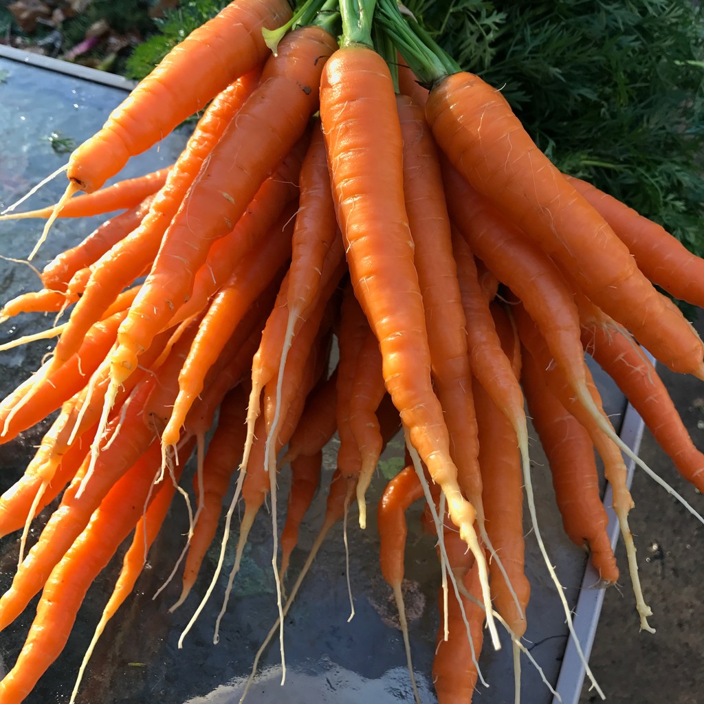 KIC Produce