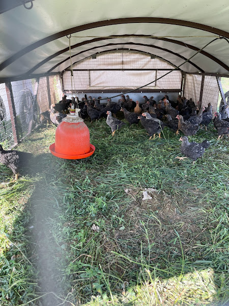 Fred's Farm photo 3