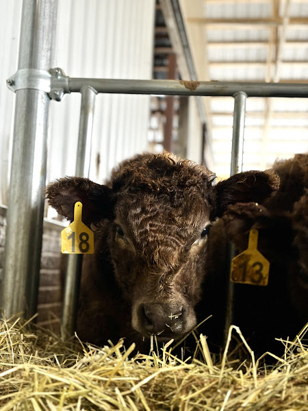 Fred's Farm photo 11