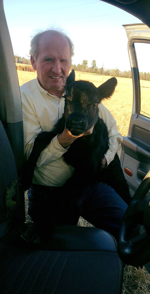Hill Creek Farms photo 16