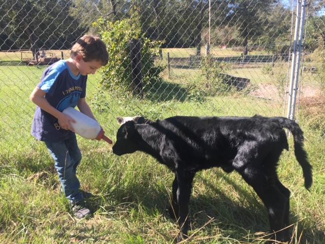 Hill Creek Farms photo 3
