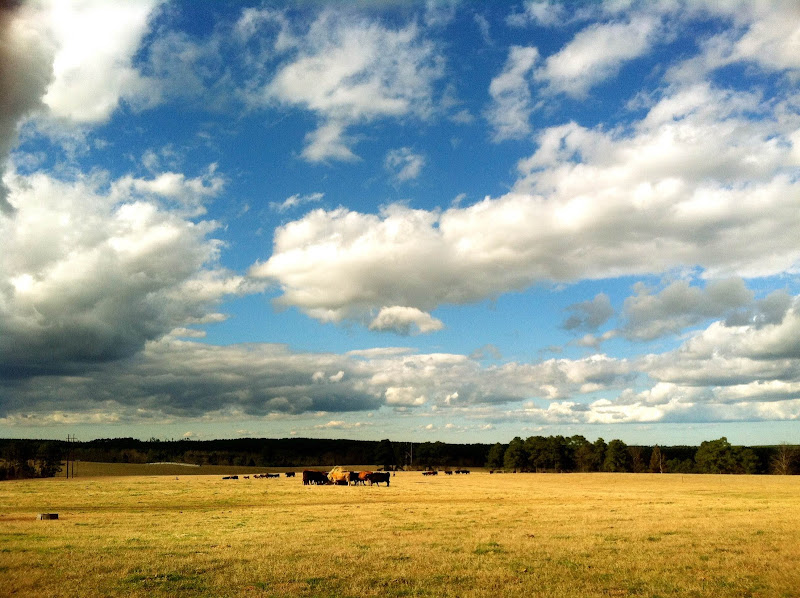 Hill Creek Farms photo 4
