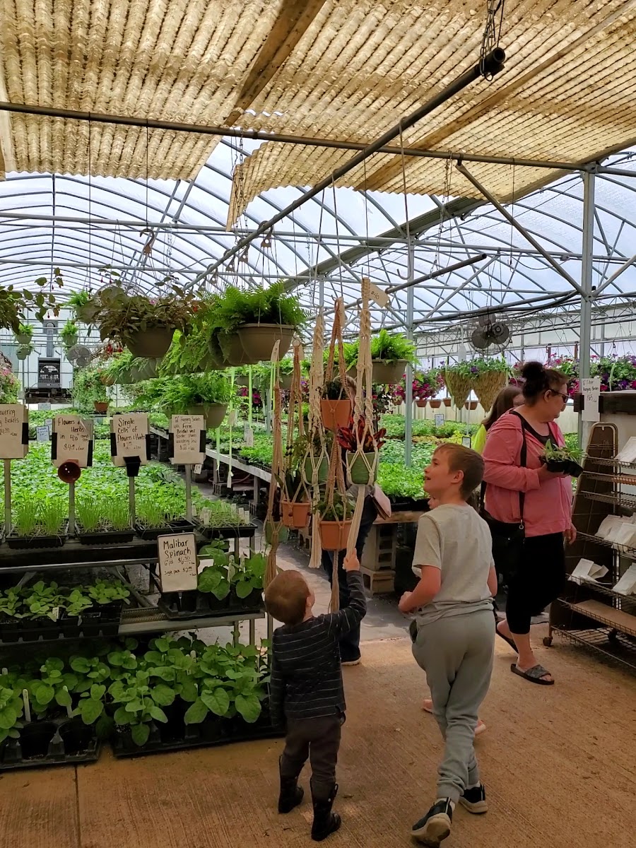 Adams Farms photo 4