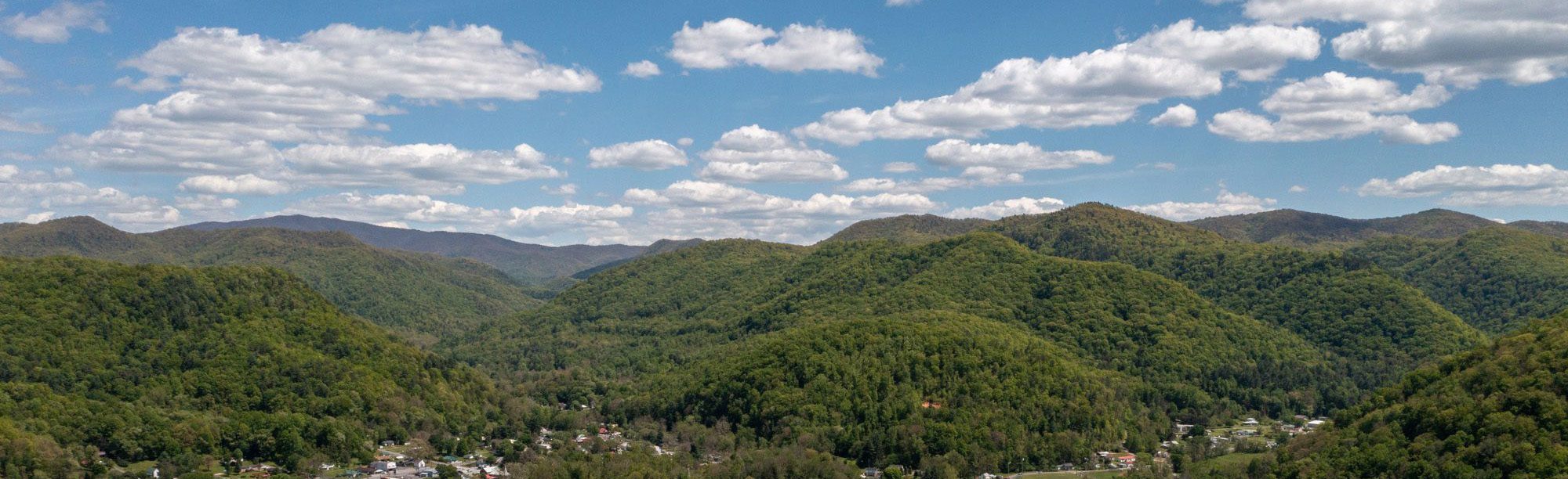 Damascus Farmers' Market