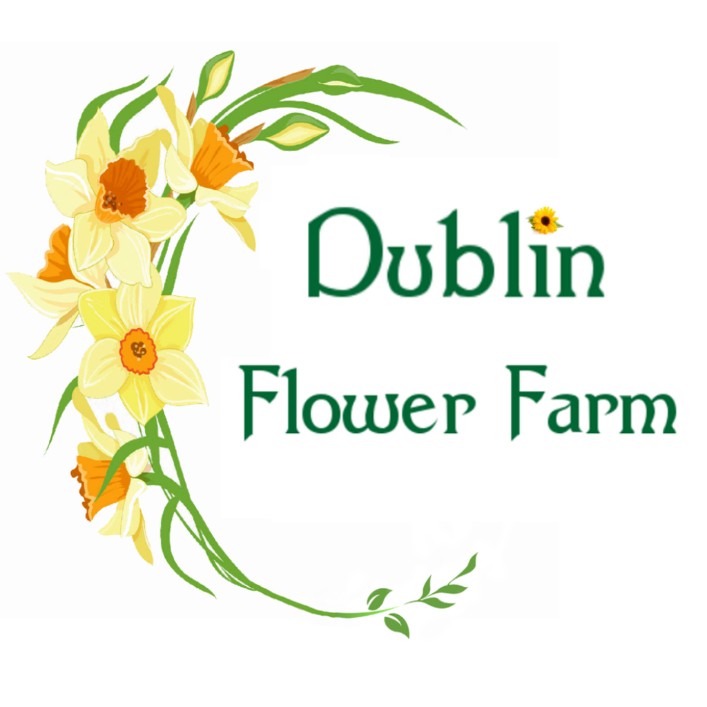 Dublin Flower Farm