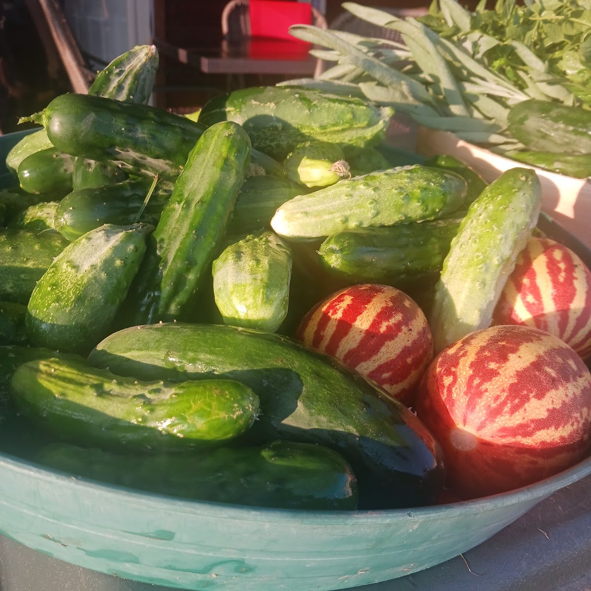 Bath County Farmers Market photo 4