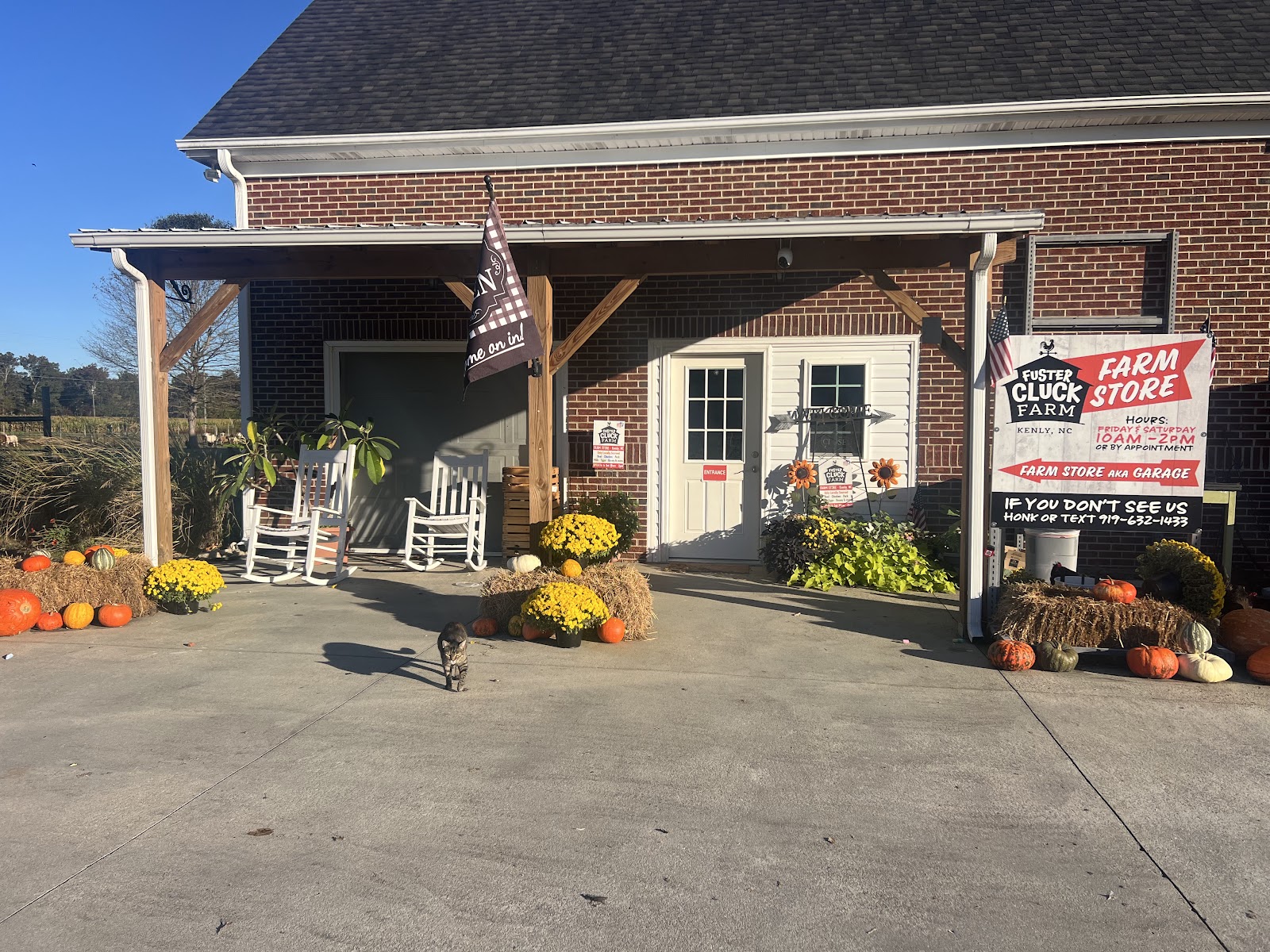 Fluster Cluck Farm photo 2