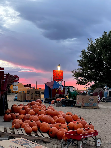 Miller Farms photo 2