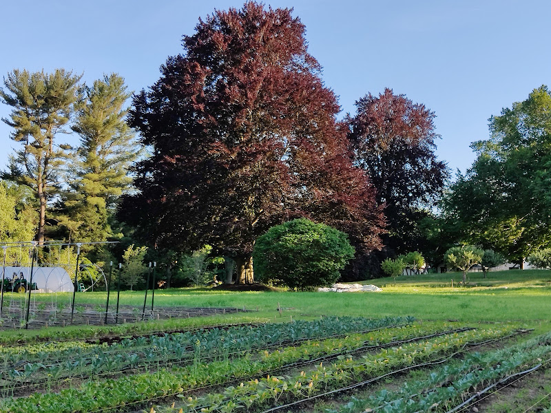 Closter Farm & Livestock Co.