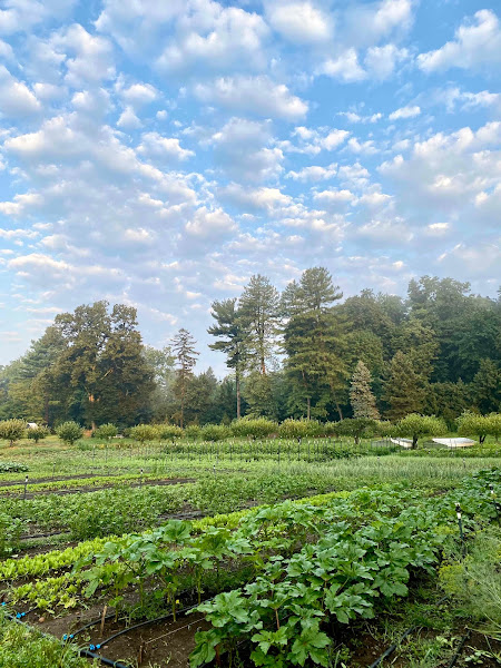 Closter Farm & Livestock Co. photo 2