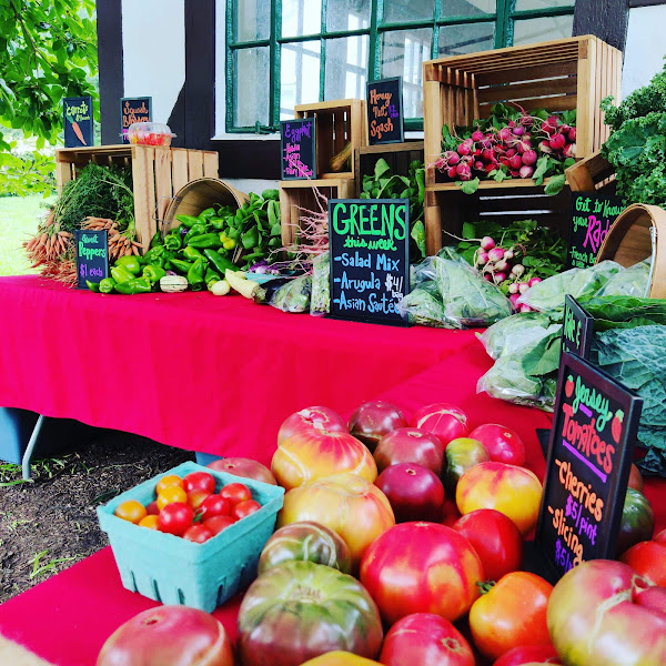 Closter Farm & Livestock Co. photo 3