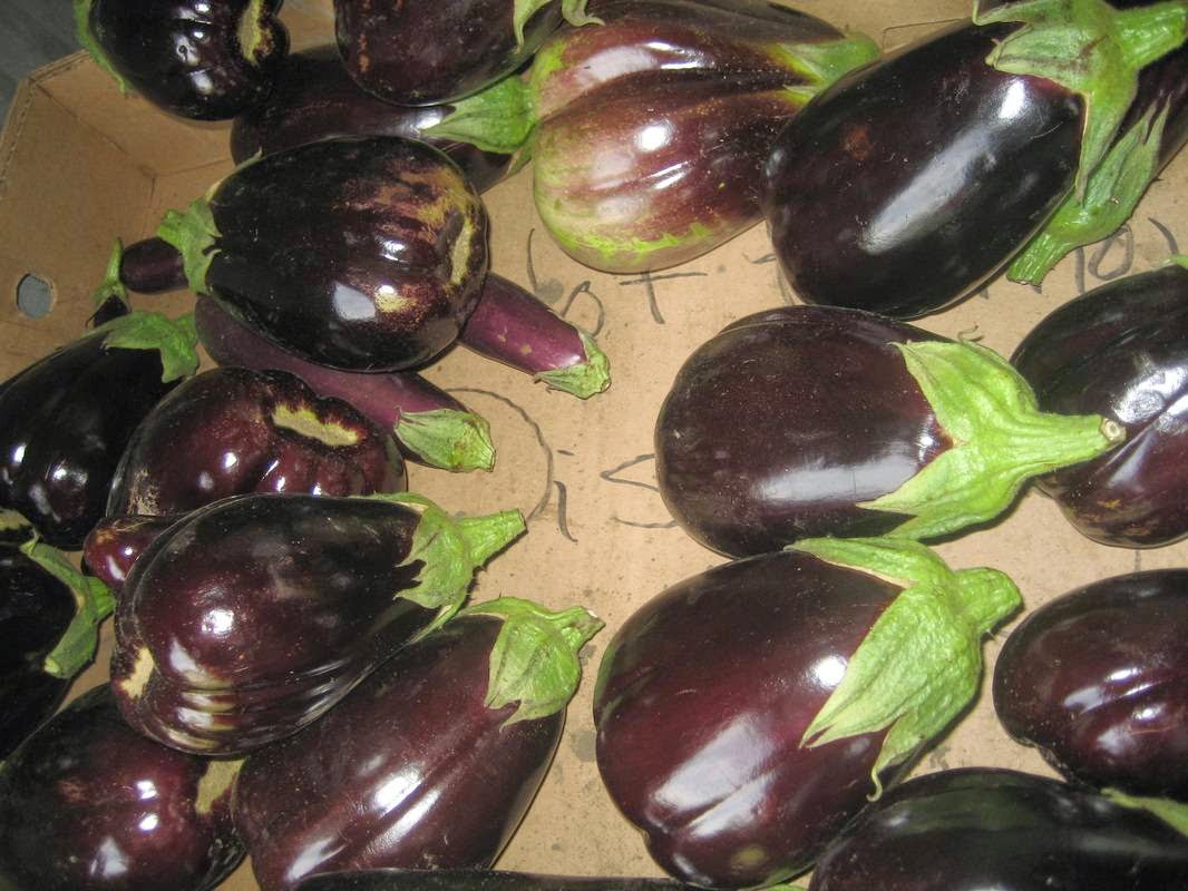 Heikes Family Farm CSA photo 2