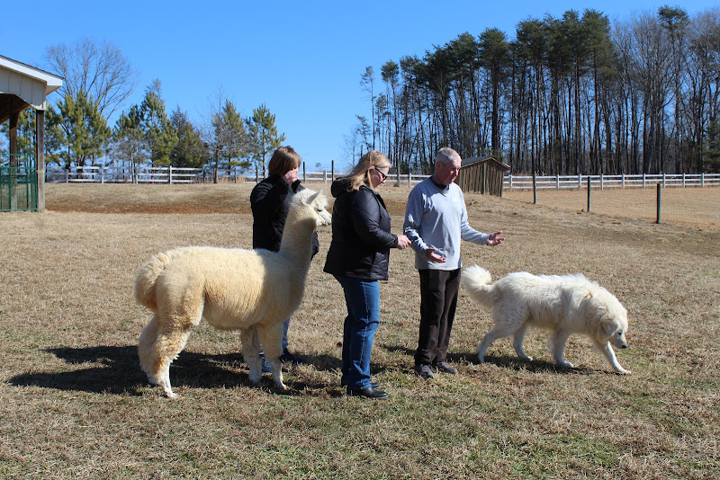 Briar Patch Farm