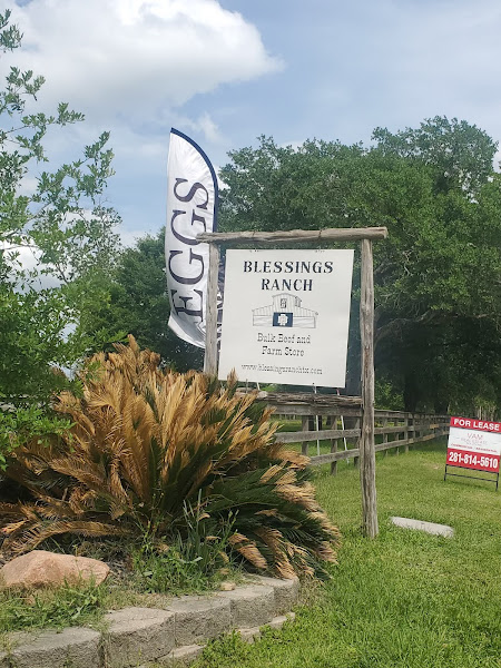 Blessings Ranch photo 27