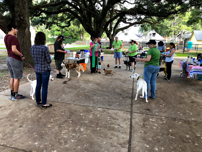 Peach Street Farmers Market photo 2