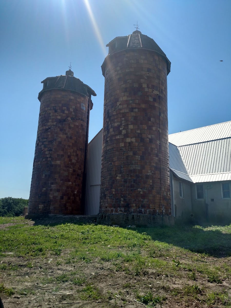 The Old Mission Farm