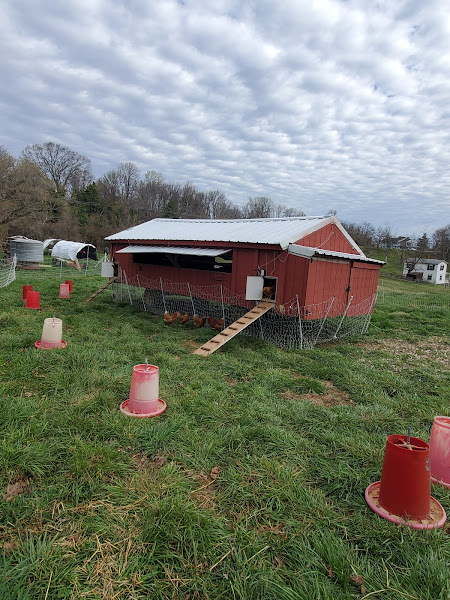 Morris Hill Farm LLC