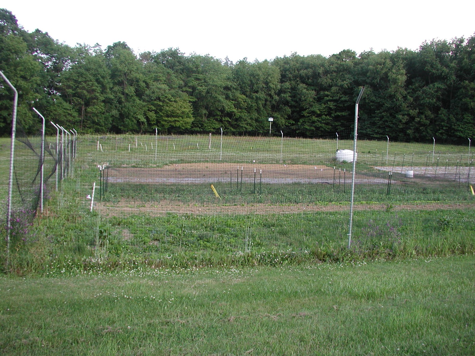 Acorn Hollow Farm photo 3