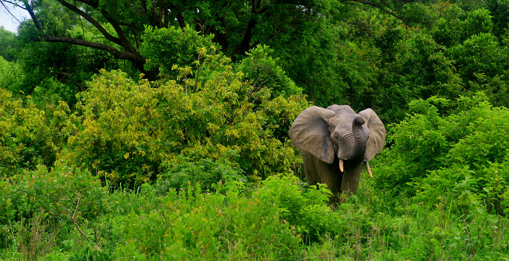 The Asheboro Farmers’ Market