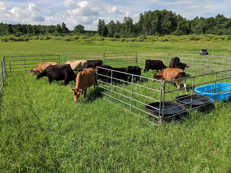 Johnson Family Pastures